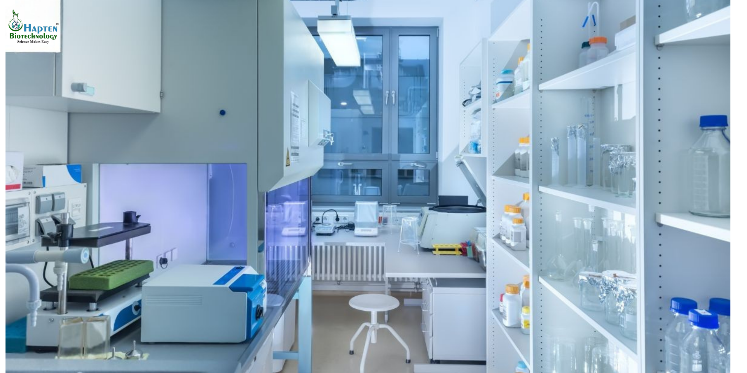 Precision Environmental Simulation: Understanding Stability and Climatic Chambers